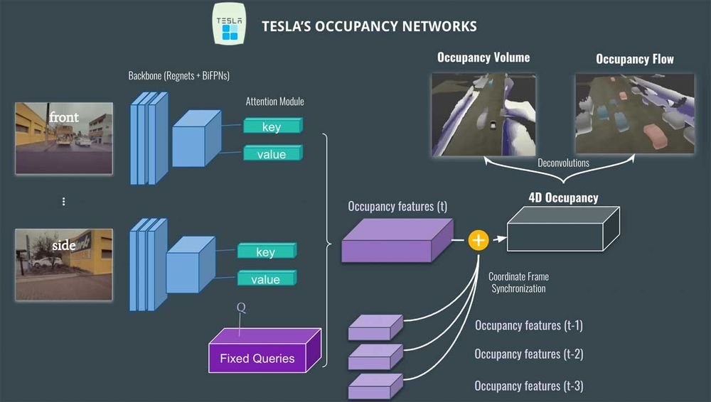 Tesla Vision Occupancy Network Solves Complex Edge Cases